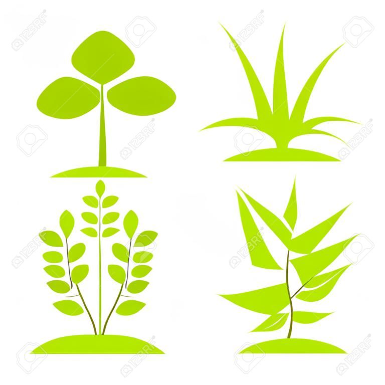 緑の植物の成長のコレクション。