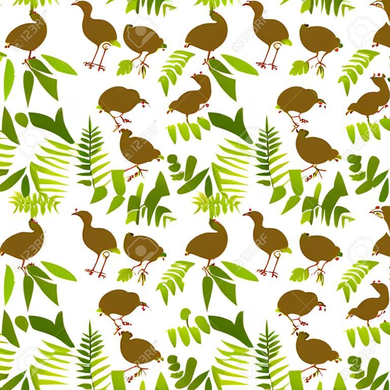 Kiwi pájaro y helechos de patrones sin fisuras. Ilustración vectorial