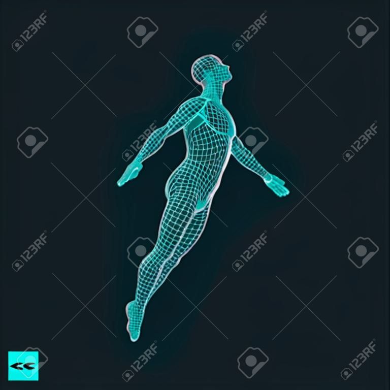 Flotando en el aire. Hombre que flota en el aire. Modelo 3D del Hombre. Cuerpo humano. Elemento de diseño. Ilustración del vector.