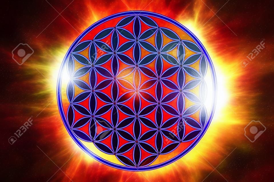Beautiful flower of life in nature as new age energy and spirituality life force concept