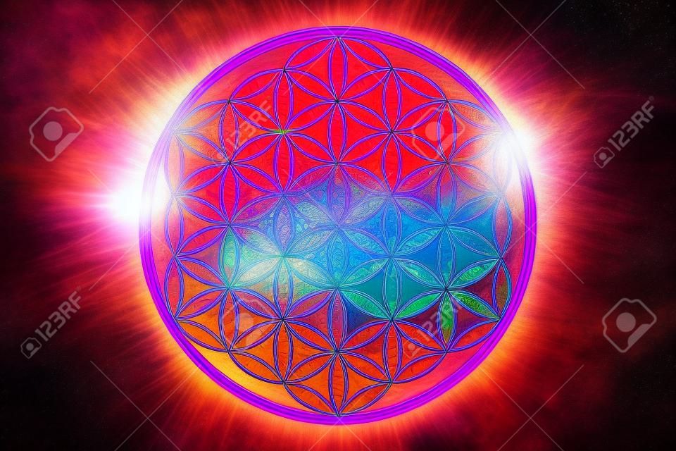 Beautiful flower of life in nature as new age energy and spirituality life force concept