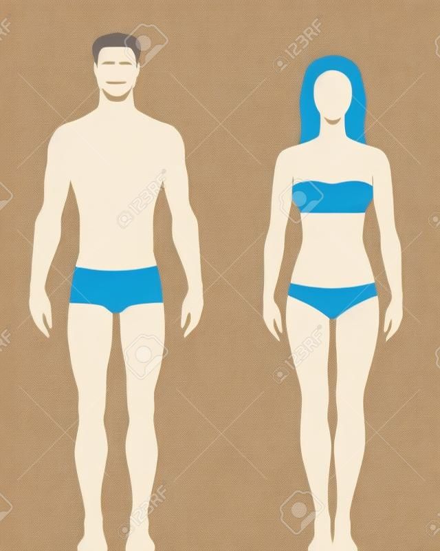 남자와 여자의 건강한 신체 유형의 양식에 그림