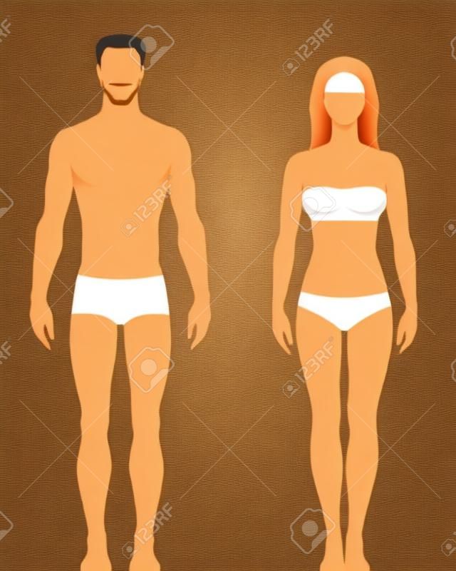erkek ve kadın sağlıklı bir vücut tipi stilize illüstrasyon