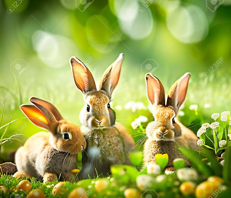 ウサギ牧草地でかわいいイースターうさぎのアート デザイン