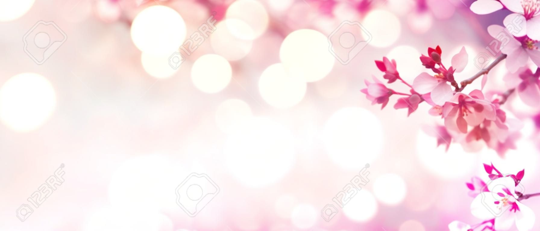 ピンクの花の木と春の花ボーダー