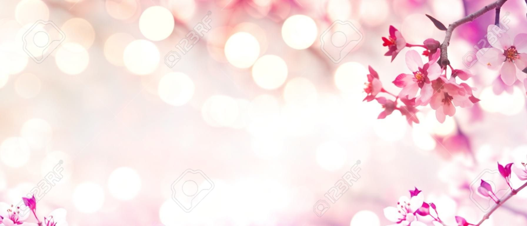 Borda da flor da mola com árvore florescente cor-de-rosa
