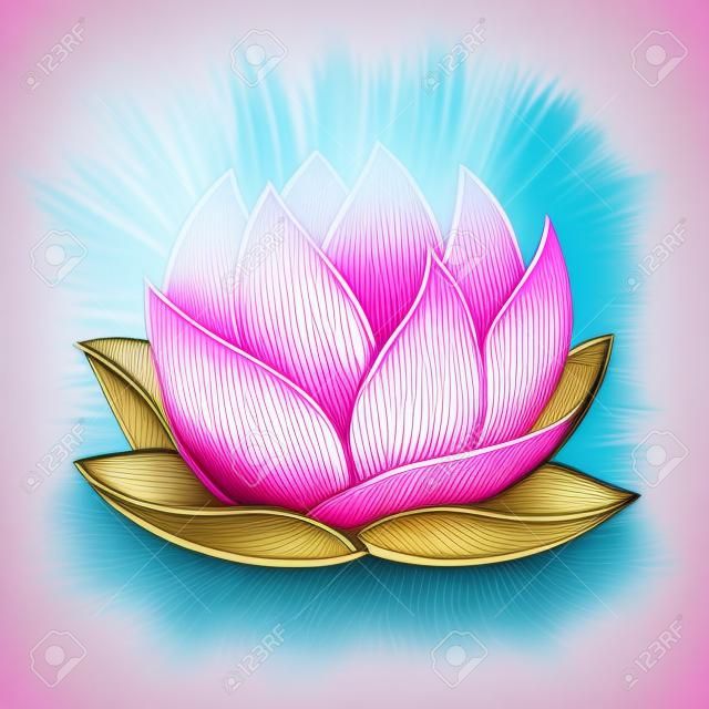 Pink lotus flower vector illustration. Beautiful realistic waterlily drawing.