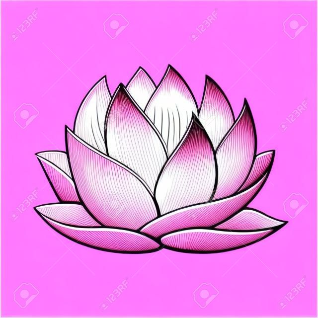 Ilustración de vector de flor de loto rosa. Hermoso realista waterlily dibujo.