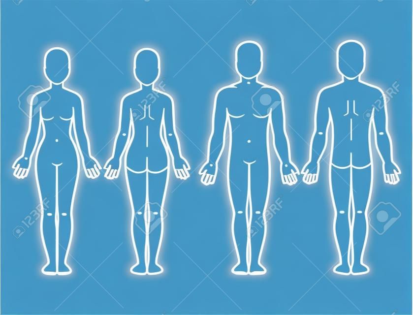 Férfi és női test elöl és hátulnézet. Üres emberi test sablon orvosi infographic. Elszigetelt vektoros illusztráció.