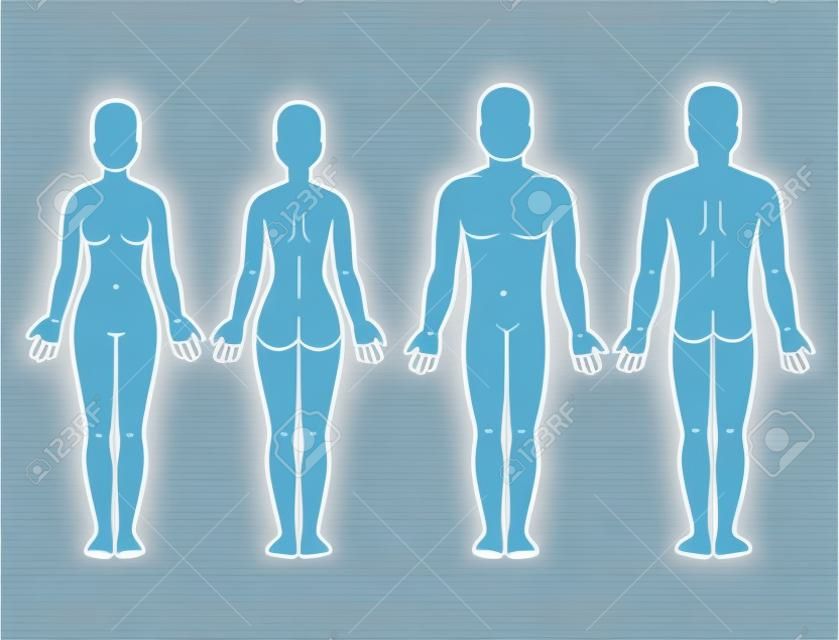 Widok z przodu iz tyłu ciała mężczyzny i kobiety. Pusty szablon ludzkiego ciała dla infografiki medycznej. Ilustracja na białym tle wektor.