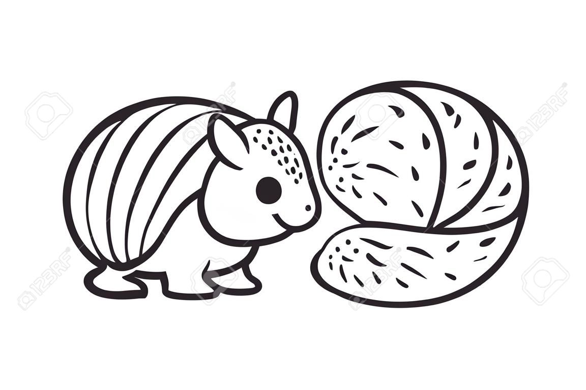 Cute cartoon armadillo, standing and roll up in a ball. Black and white hand drawn clip art illustration.