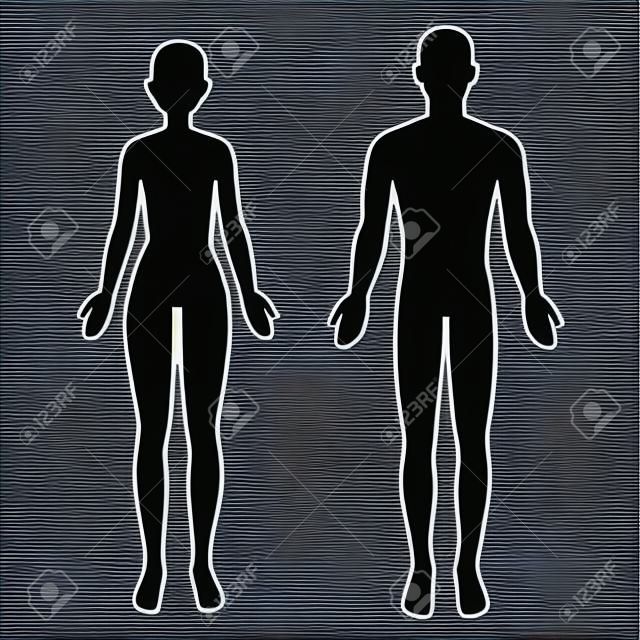 Male and female body silhouette outline. Blank anatomy template for medical infographics. Isolated vector clip art illustration.