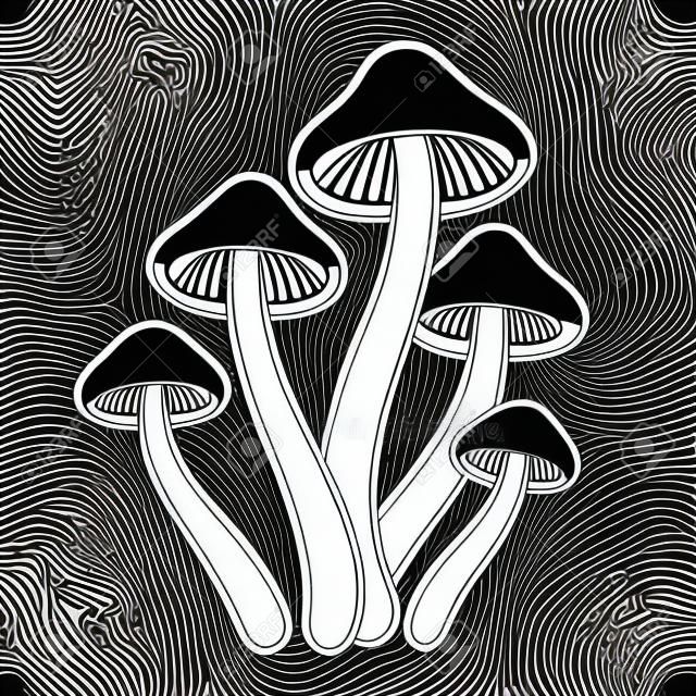 Magic mushrooms Psilocybe cubensis. Black and white line drawing. Vector clip art illustration.