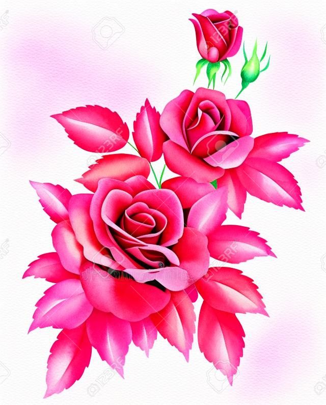 在白色背景上孤立的粉紅色的紅色復古玫瑰花。彩色鉛筆水彩畫。