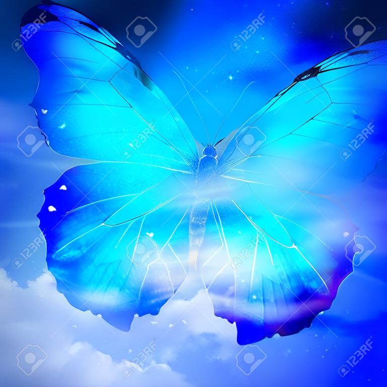 El cielo azul con la mariposa, fondo