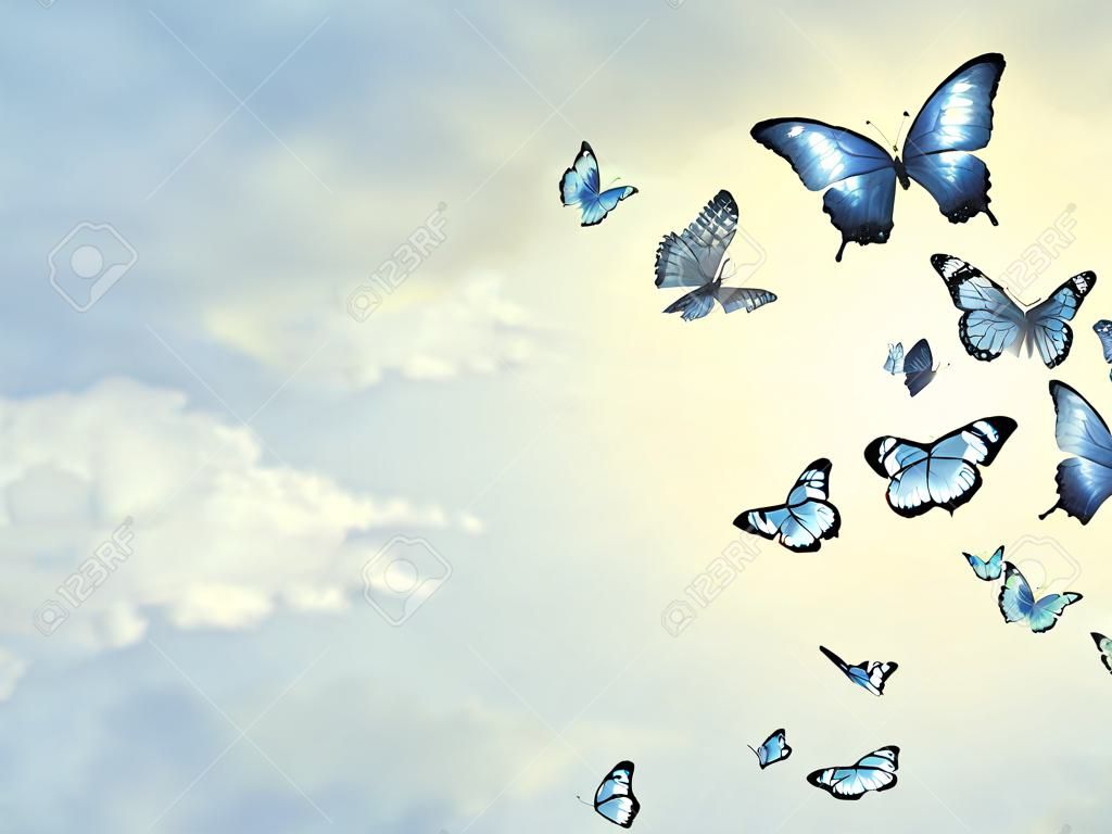 Ciel de couleur avec des nuages et des papillons en arrière-plan