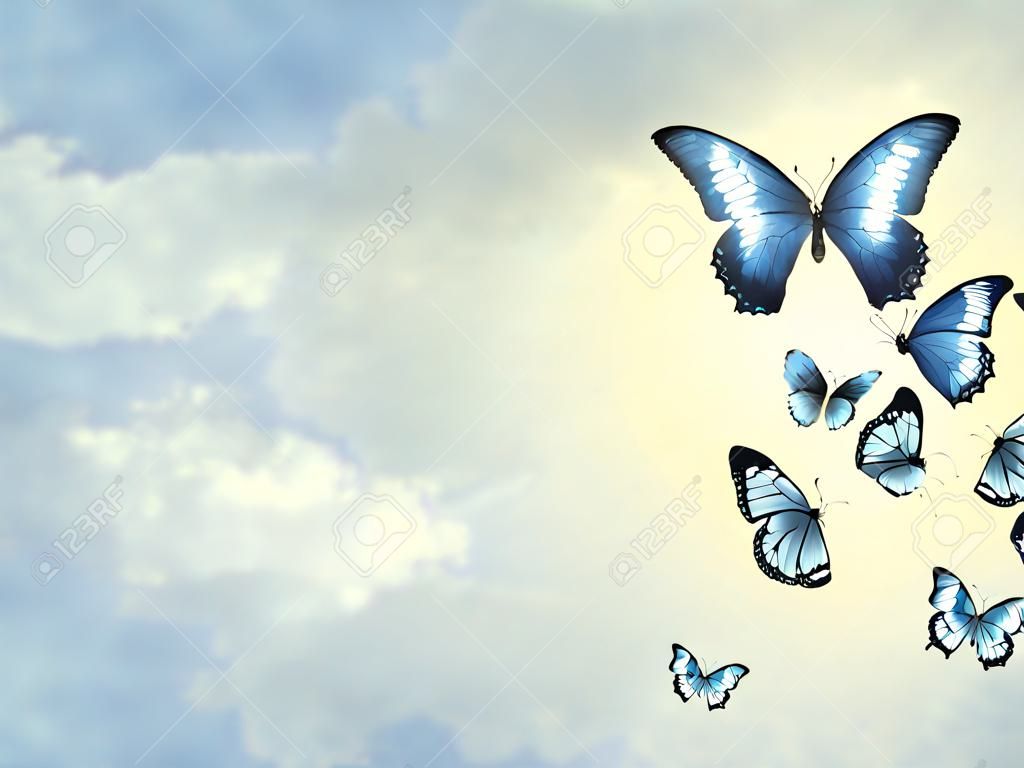 Ciel de couleur avec des nuages et des papillons en arrière-plan