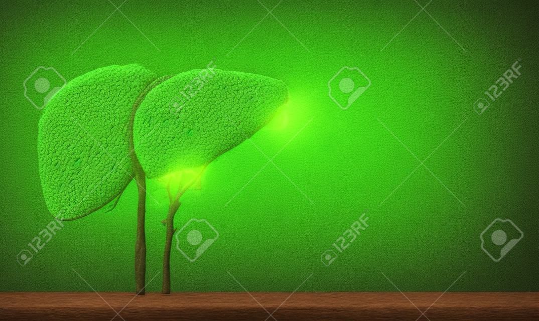 Realistyczne obrazy wątroby przedstawiają ludzi w zielonych kształtach drzew o chorobach i marskości