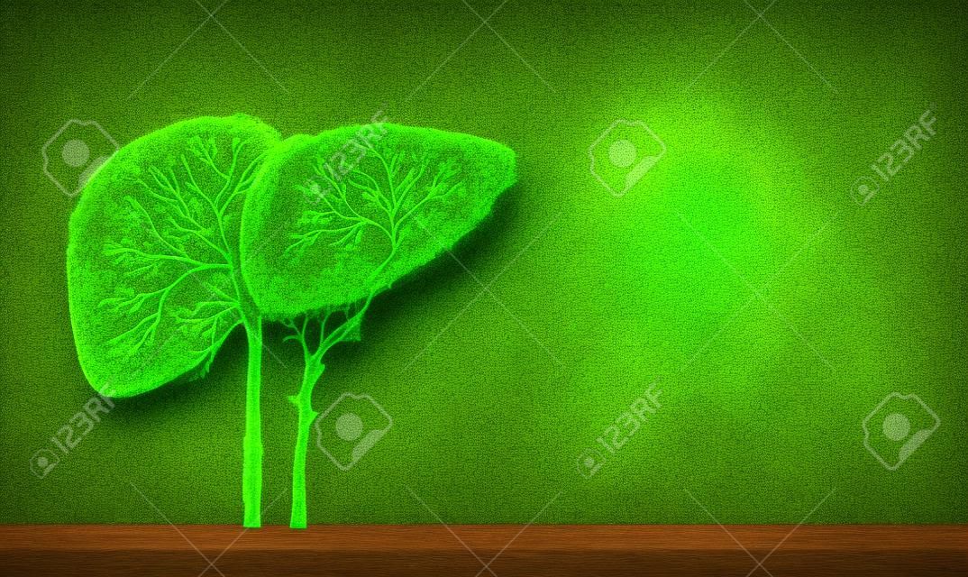 Realistyczne obrazy wątroby przedstawiają ludzi w zielonych kształtach drzew o chorobach i marskości
