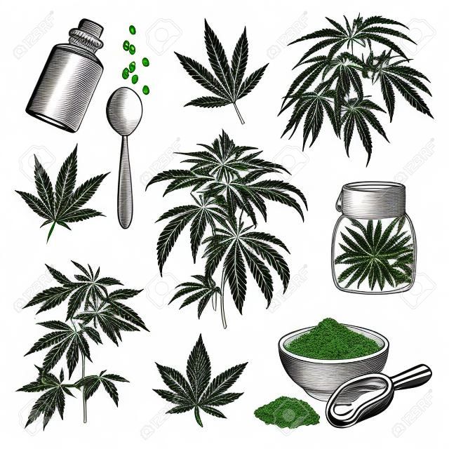 Cannabis or hemp engraved illustrations set. Hand drawn sketch of marijuana plant isolated on white background. Medical herbs, drug, nutrition concept