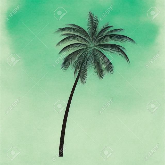 Realistic Green Classic Palm Tree Illustration.