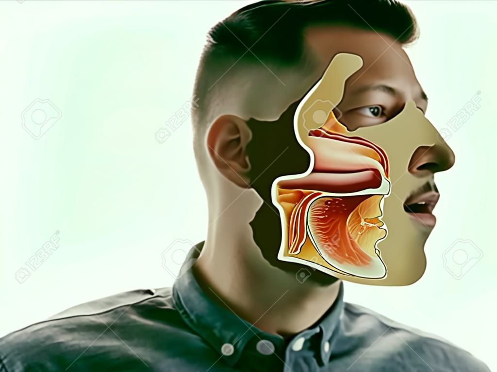 Anatomia jamy ustnej, gardła i nosa na portrecie mężczyzny.