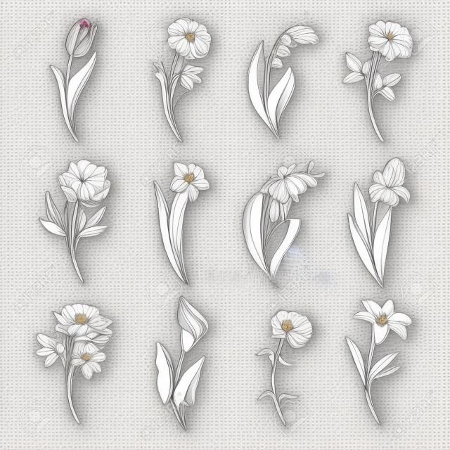 Collection of outlined flowers. Tulip, chamomile, lily of the valley, rose, peony, narcissus, orchid, iris, chrysanthemum, calla, carnation and lily In sketch hand drawn style. Vector illustration