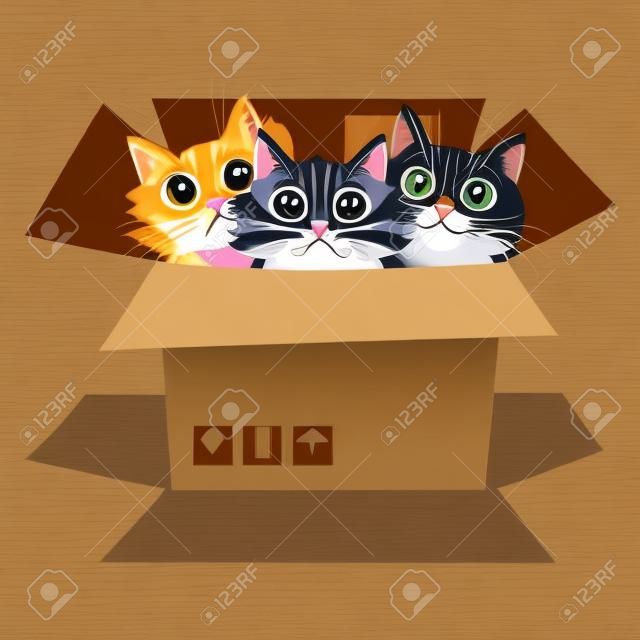 Little kittens in a cardboard box. Three cats is looking out of a box. Vector illustration