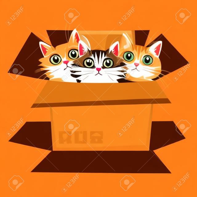 Little kittens in a cardboard box. Three cats is looking out of a box. Vector illustration