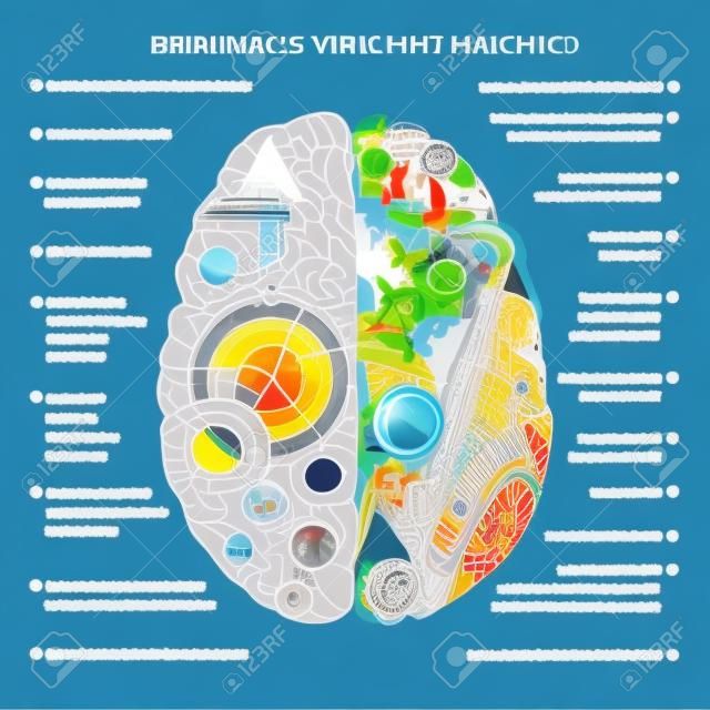 Brain left analytical and right creative hemispheres infographics vector illustration