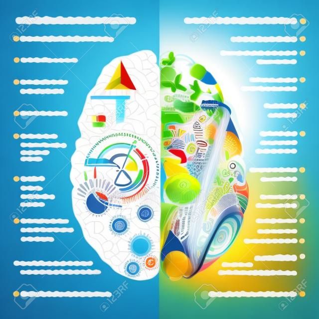 Brain left analytical and right creative hemispheres infographics vector illustration