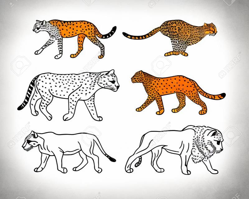 Wektor ręcznie rysowane doodle szkic zestaw kolekcja dzikich kotów ofertowych na białym tle