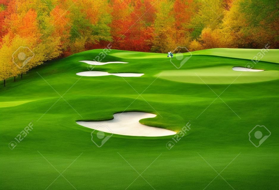 zielona trawa na pole golfowe otoczone przez jesienny las