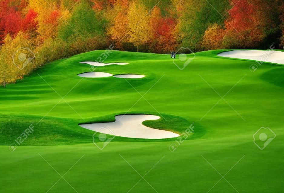 zielona trawa na pole golfowe otoczone przez jesienny las