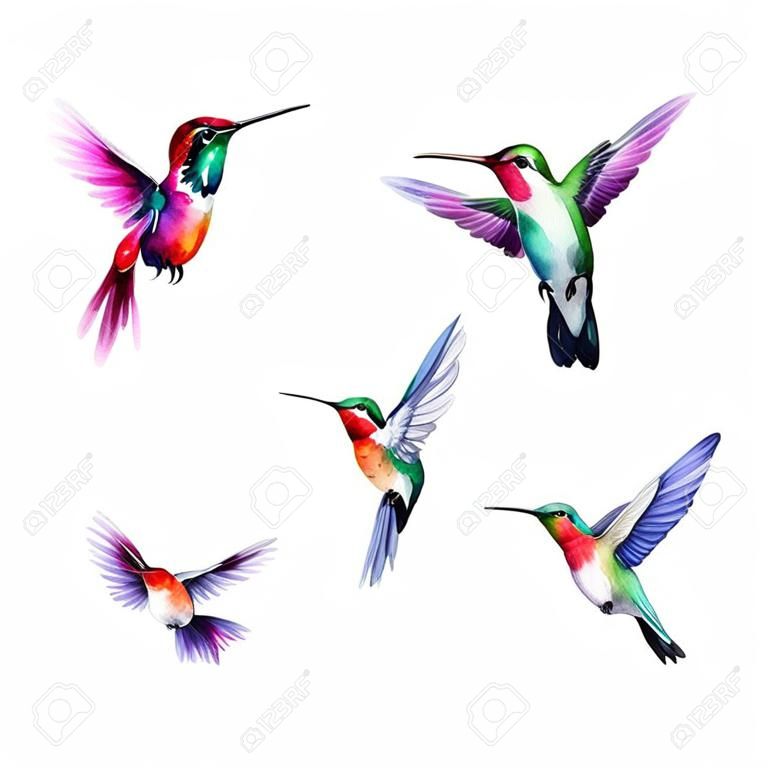 Conjunto de ilustraciones en acuarela de colibrí lindo y feliz para imprimir en telas y libros impresos en postales adhesivas con patrones de ropa de bebé