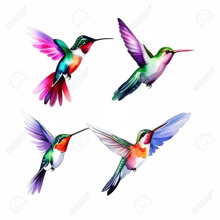 Conjunto de ilustraciones en acuarela de colibrí lindo y feliz para imprimir en telas y libros impresos en postales adhesivas con patrones de ropa de bebé