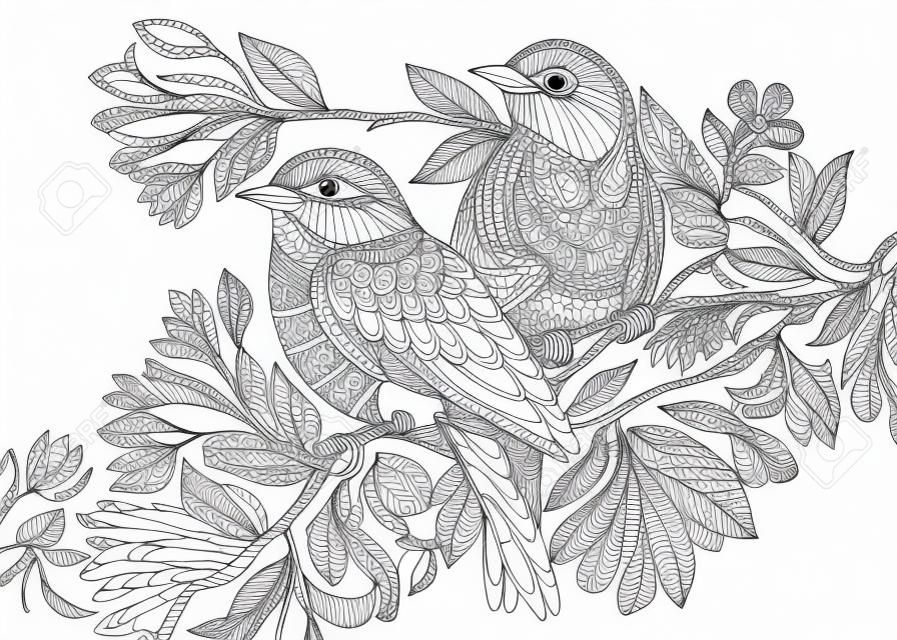 Strona kolorowanka dwóch ptaków. Odręczny rysunek szkicu dla dorosłych antystresowej kolorowanka z elementami doodle i zentangle.