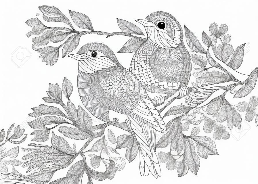 Kleurplaat van twee vogels. Vrijhandige schetstekening voor volwassen antistress Kleurplaat met doodle en zentangle elementen.