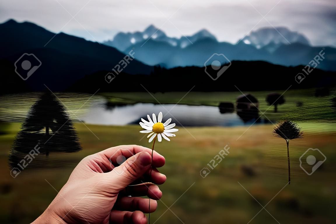 Flor da camomila na mão no fundo das montanhas e do lago