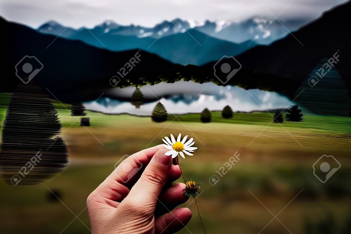 Chamomile flower in hand on background of mountains and lake