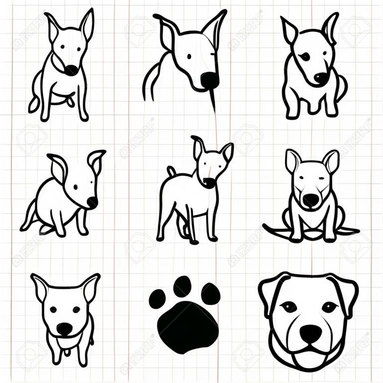 Line drawing  of Bull terrier dog set on grid paper use for elements  design.