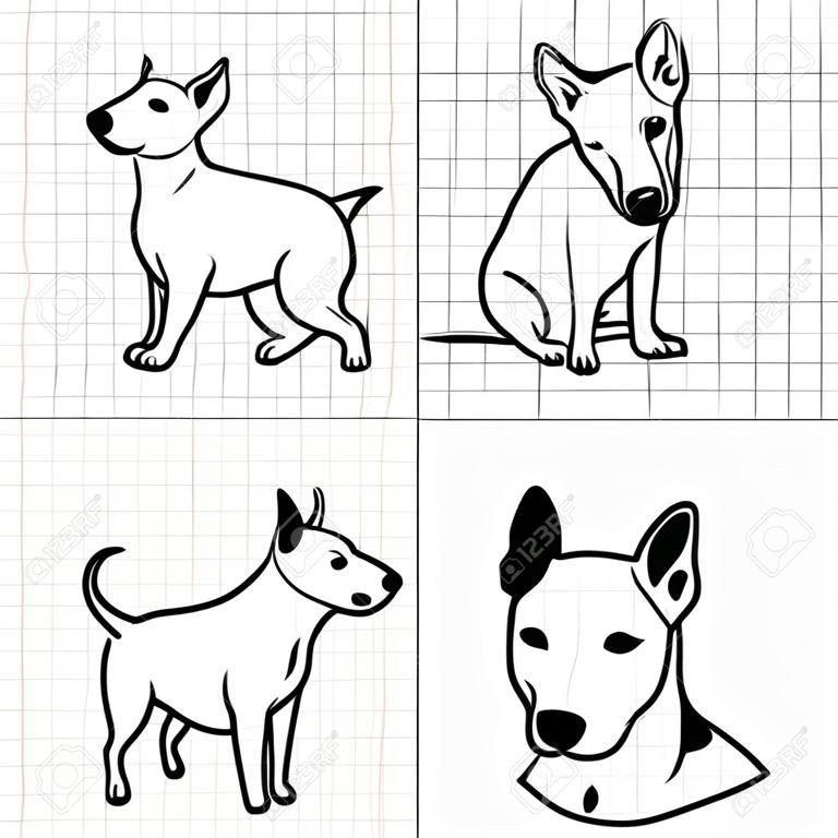 Rysowanie linii Bulterier pies ustawiony na użyciu papieru siatki dla elementów projektu.