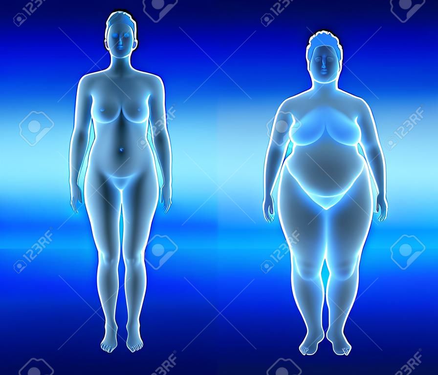 3d illustration of fat and thin woman. x-ray view