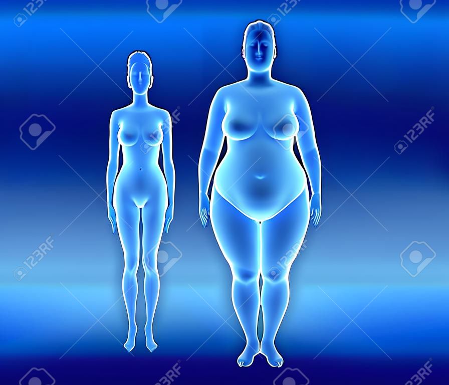 3d ilustración de la grasa y de la mujer delgada. vista de rayos x