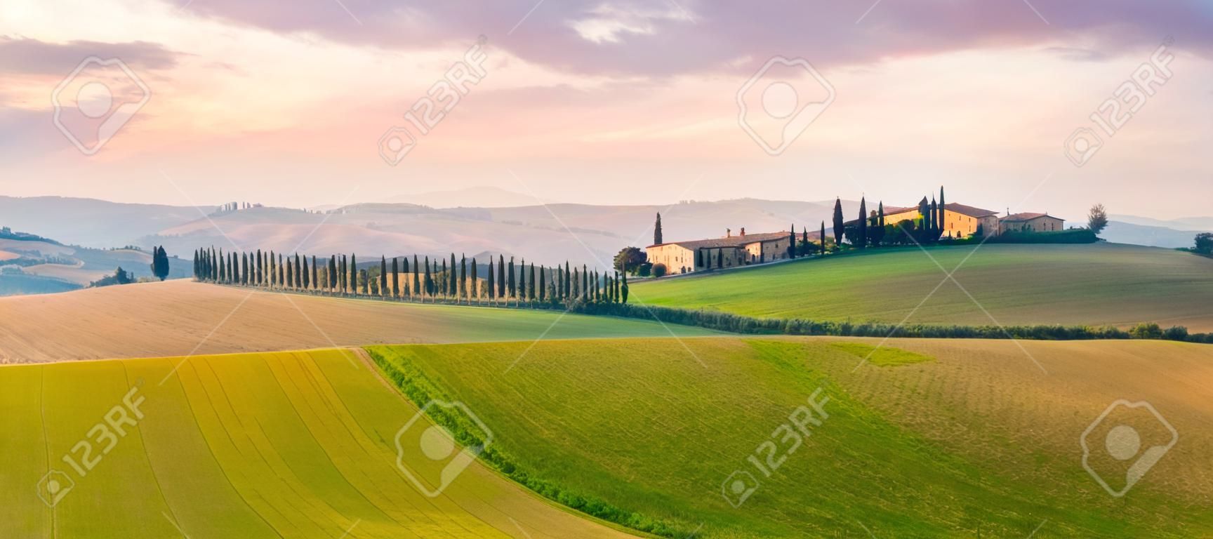 Majestic Panoramic view of typical Tuscany rural landscape. Beautiful hills at the sunrise time, cypresses, fields and countryside road. Italy, Europe