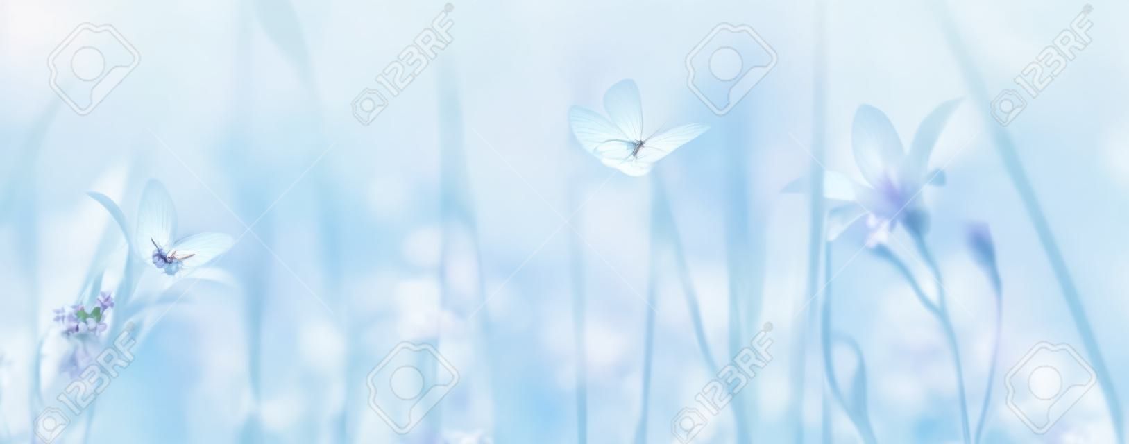 Dreamy spring bellflowers bloom, butterfly close-up, sunlight panorama. Spring floral mixed media art. Delicate delightful romantic artistic toned image. Pastel blue pink toned. Macro with soft focus. Nature greeting card background.