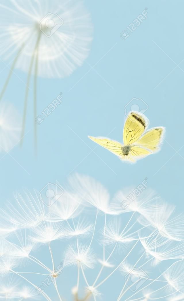 Beautiful dandelion seeds closeup blowing and butterfly on light blue vertical background. Soft pastel toned. Copy space. Macro with soft focus. Delicate transparent airy elegant artistic image of spring. Nature greeting card template.