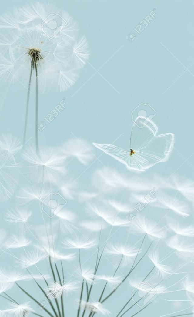 Beautiful dandelion seeds closeup blowing and butterfly on light blue vertical background. Soft pastel toned. Copy space. Macro with soft focus. Delicate transparent airy elegant artistic image of spring. Nature greeting card template.