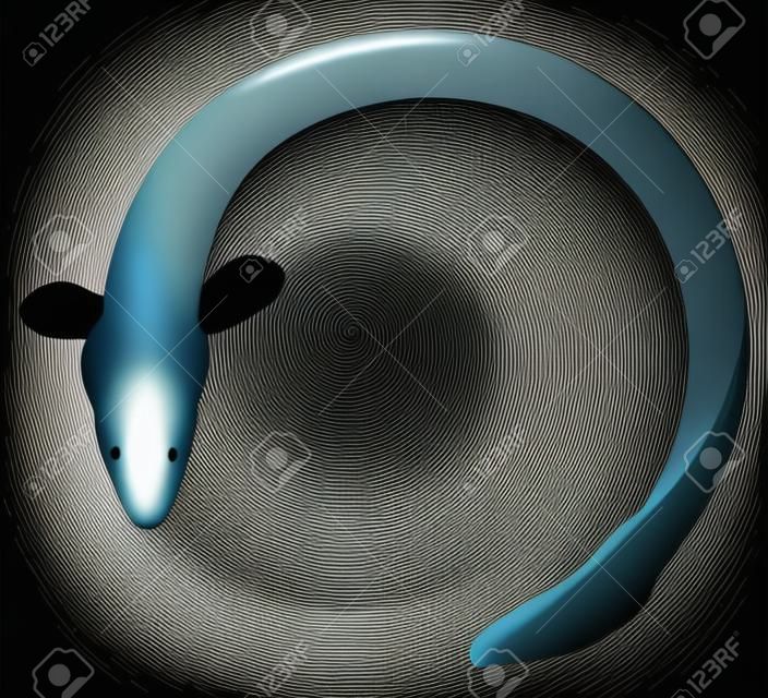 Vector illustration of circular eel.