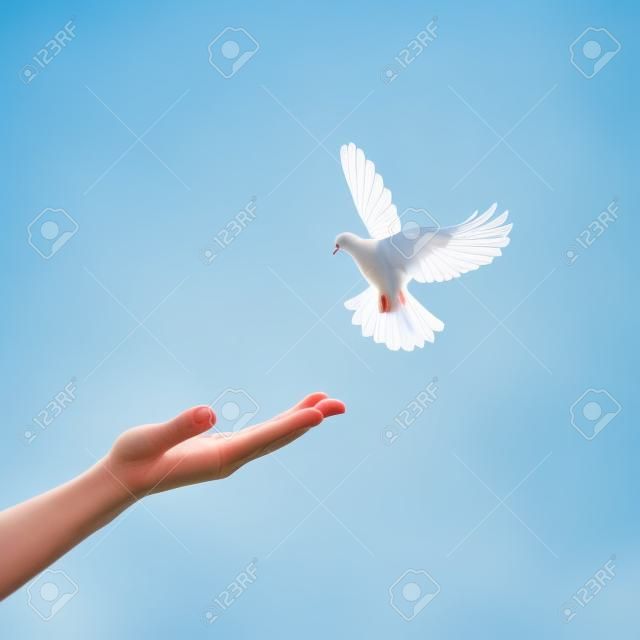 Witte duif die met een hand in de lucht vliegt op een blauwe achtergrond